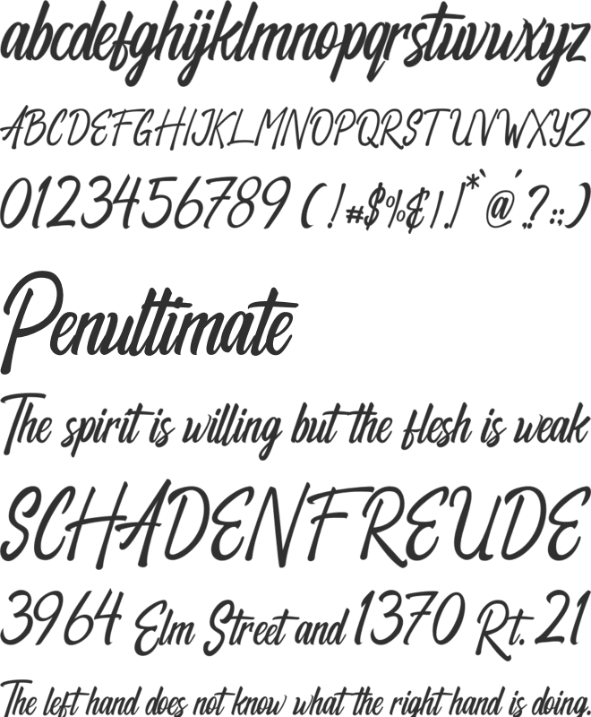 Respection font preview