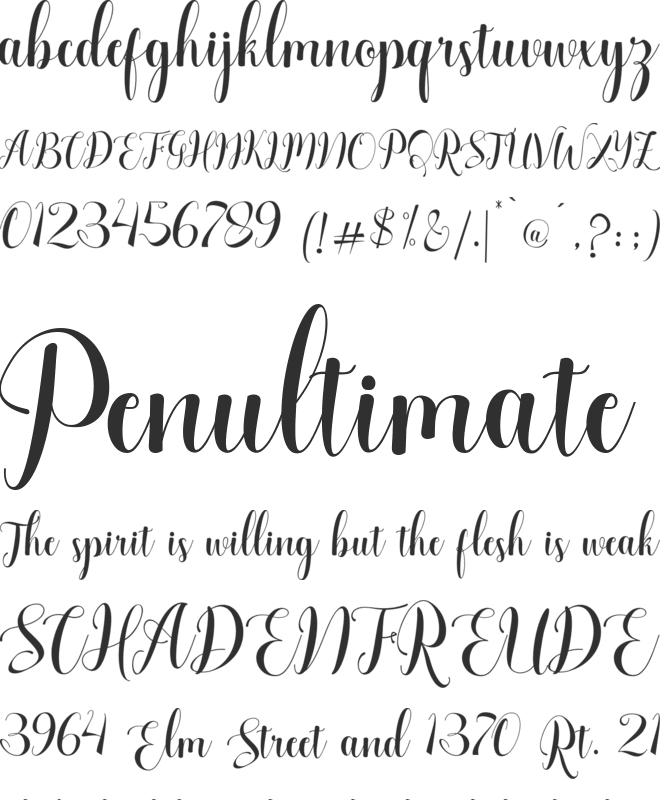 Chaster Script font preview
