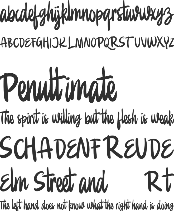 Panorama FREE font preview