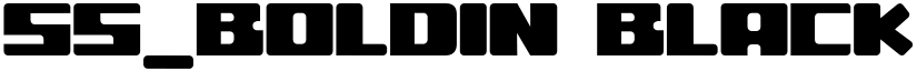 ss_boldin Black font