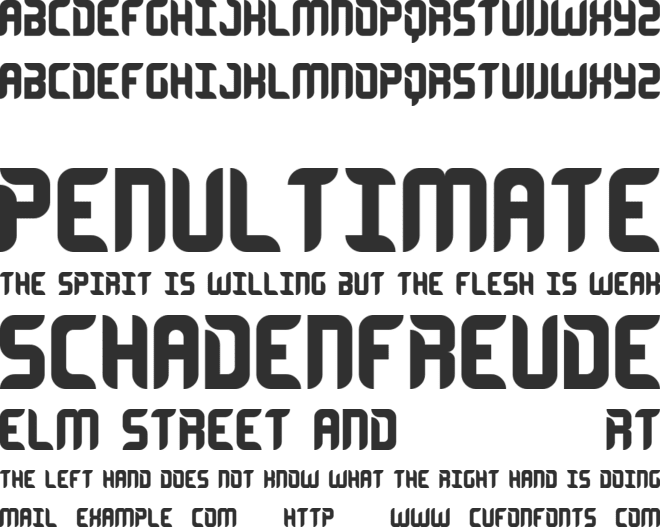 Encrypted font preview