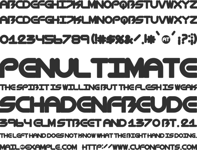 BioMetric-Chubby font preview