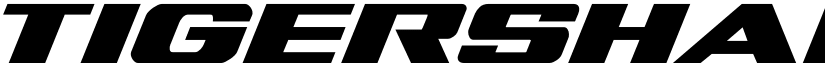 Tigershark Bold Italic Bold Italic font