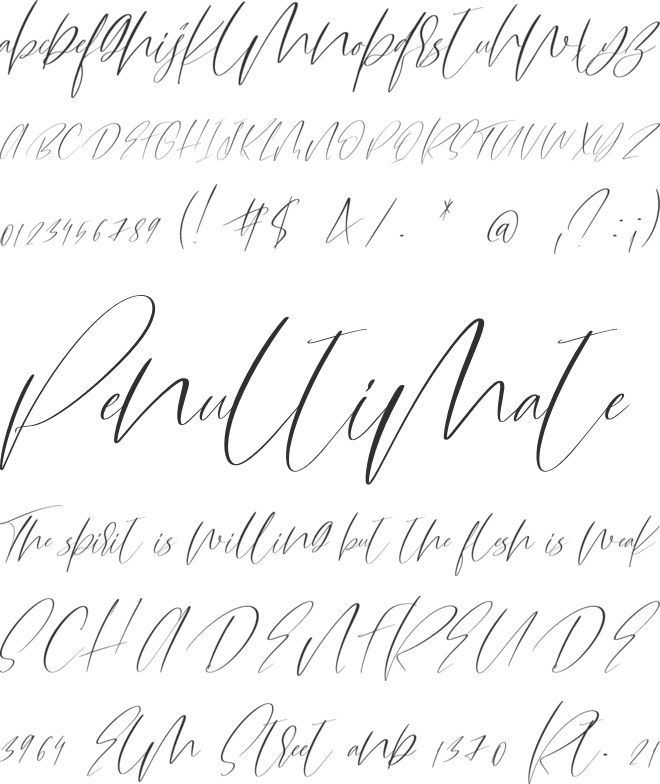 Amulet Script Font font preview