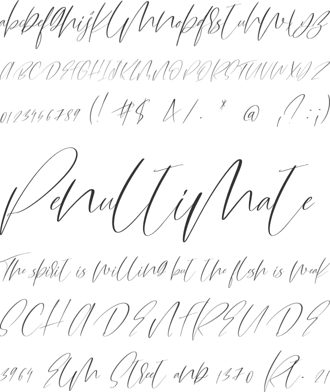 Amulet Script Font font preview