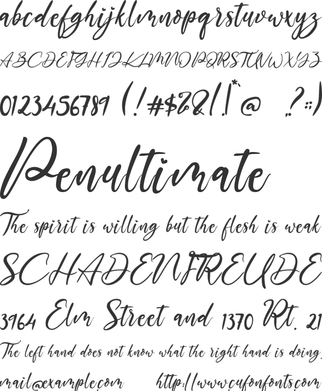 The Austin font preview