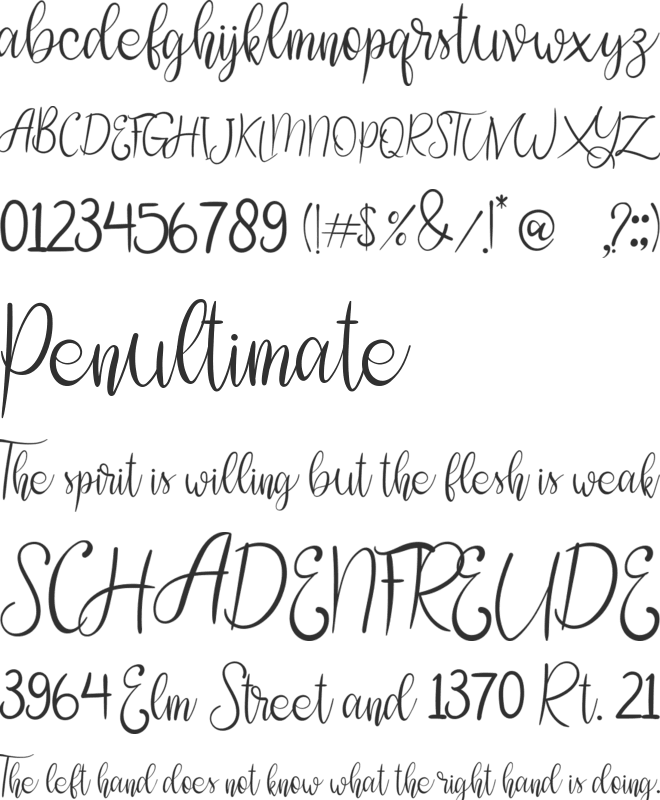 shannie font preview