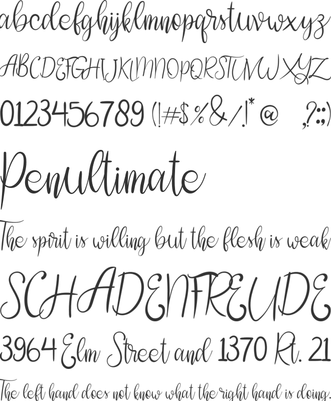 shannie font preview