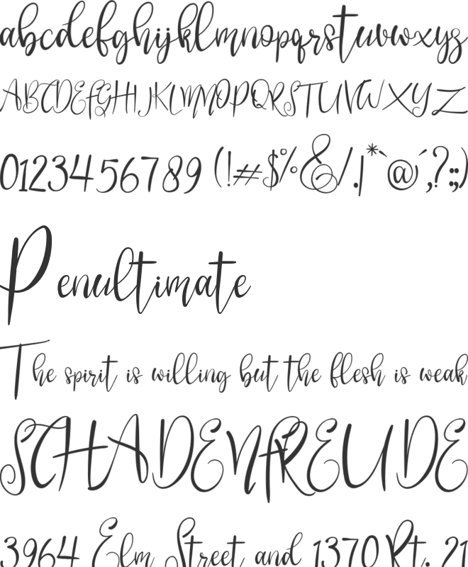 Shamara font preview