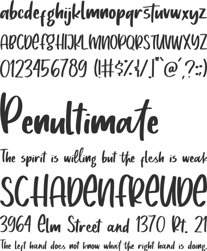 Mistletoes font preview