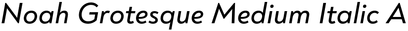 Noah Grotesque Medium Italic font