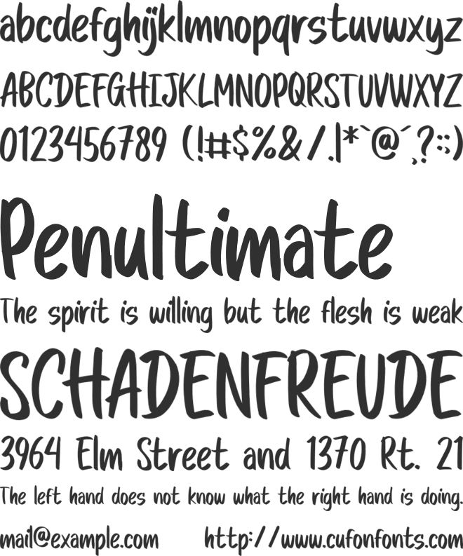 CHASING BLUEBERRY font preview