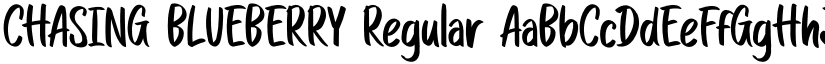 CHASING BLUEBERRY Regular font