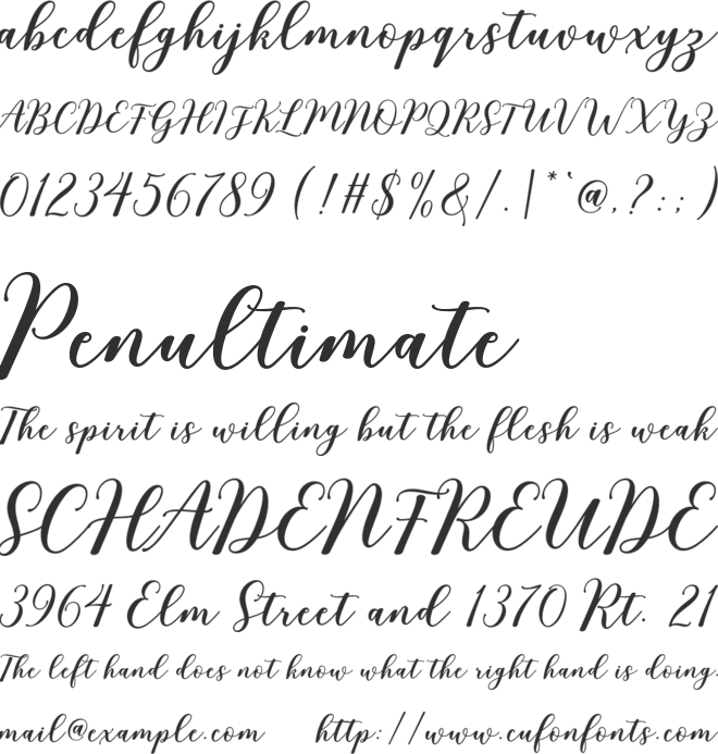 Rixiline Script font preview