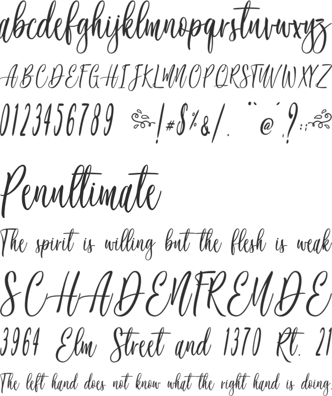 Jacky Shake - Personal Use font preview