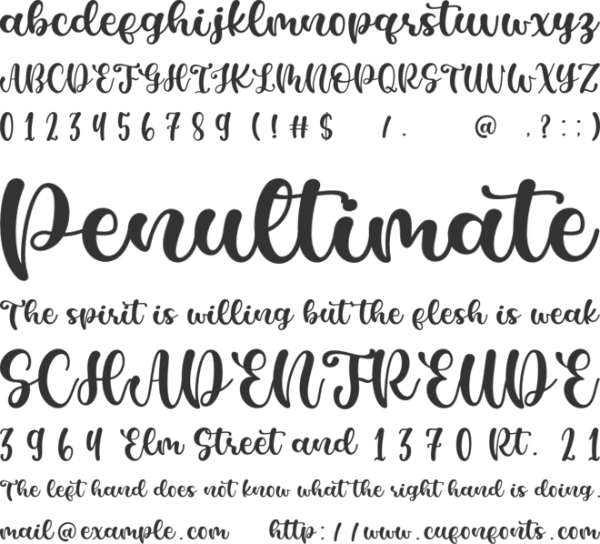 Casking Cream Script font preview