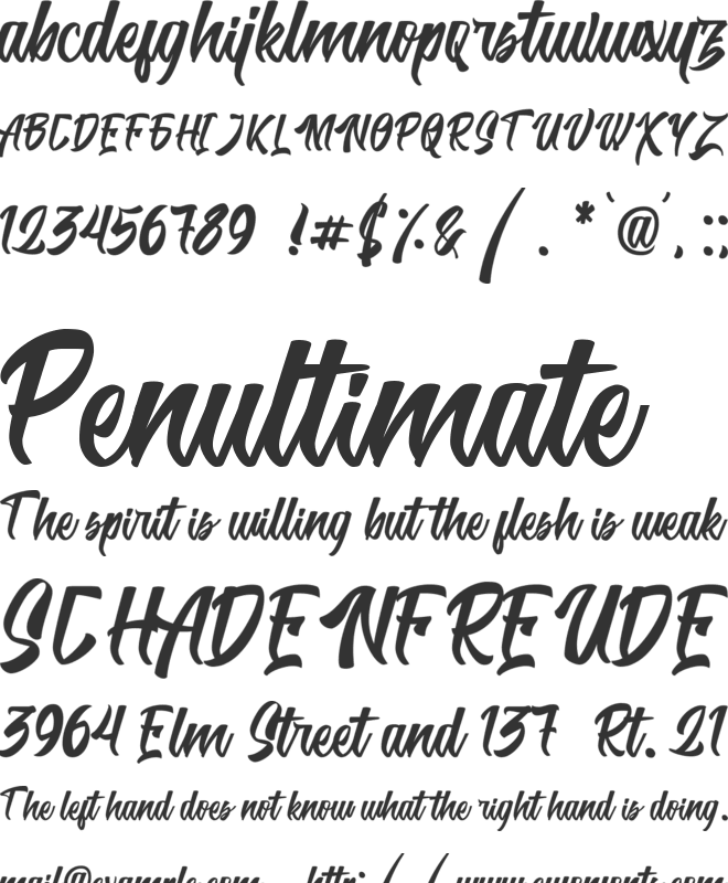 Shintonia font preview