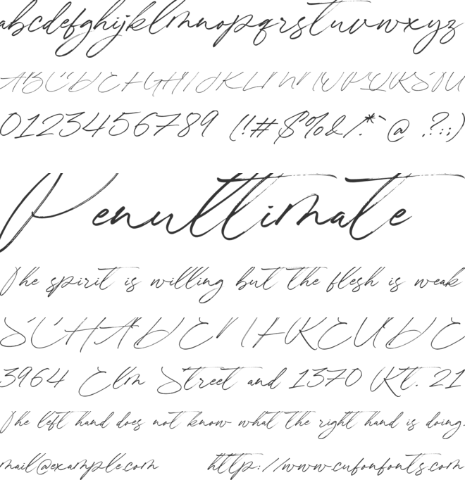 Winterlady font preview