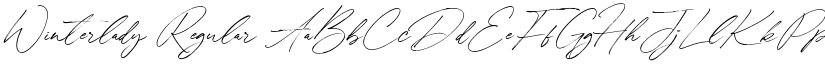 Winterlady Regular font