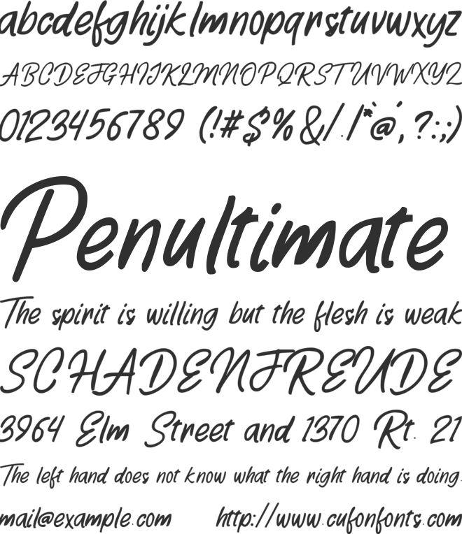 Playmaker font preview