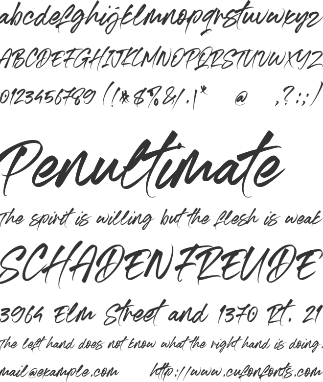 Authentic Photograph font preview