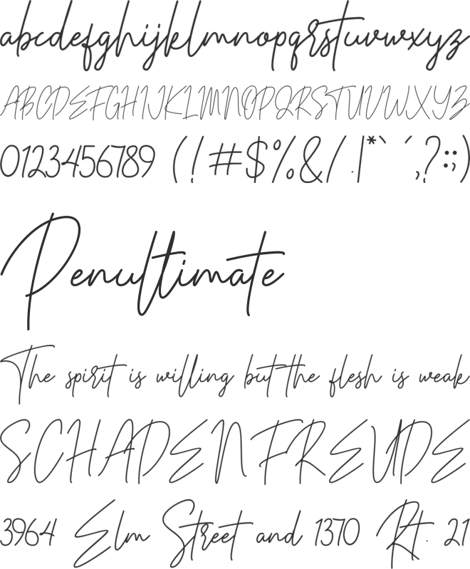 Parachute Signature font preview