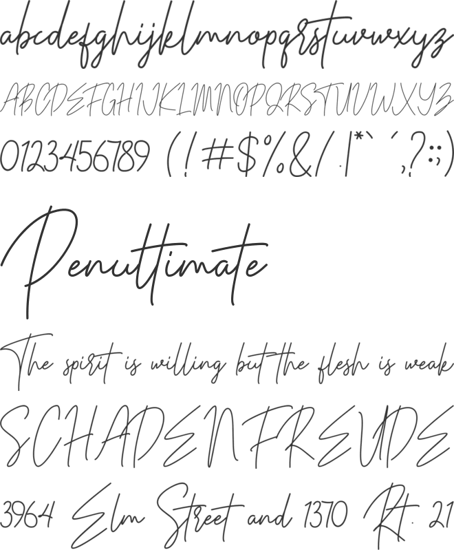 Parachute Signature font preview