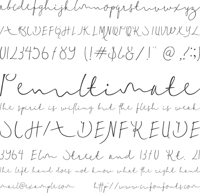 Delicate1 font preview