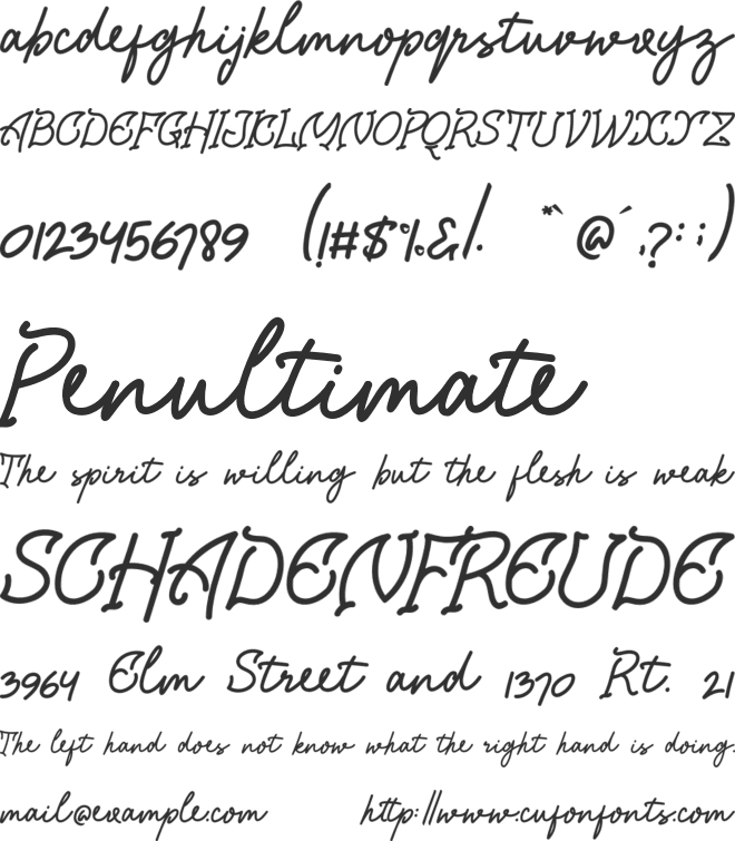 Chagack Script Personal Use font preview