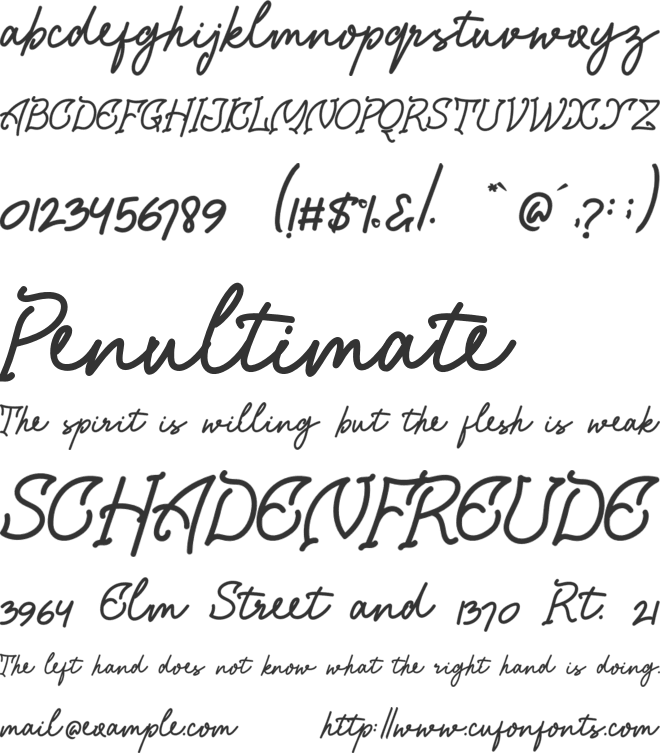 Chagack Script Personal Use font preview