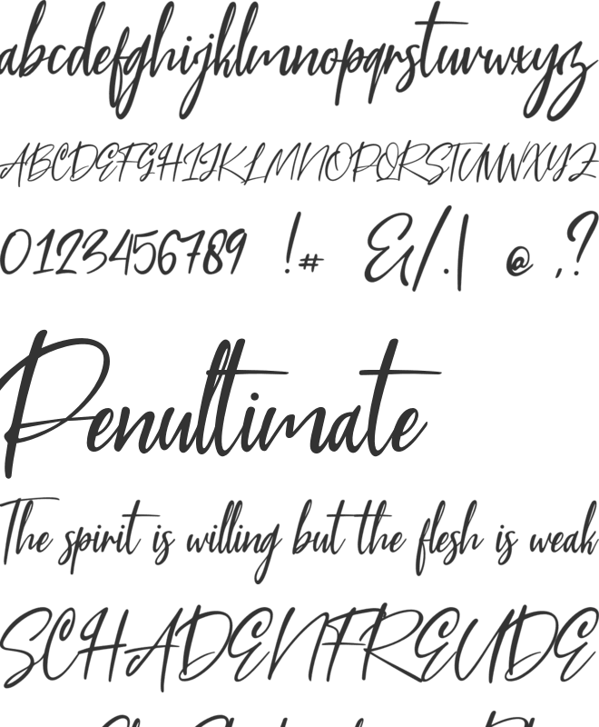 Blue Pen font preview