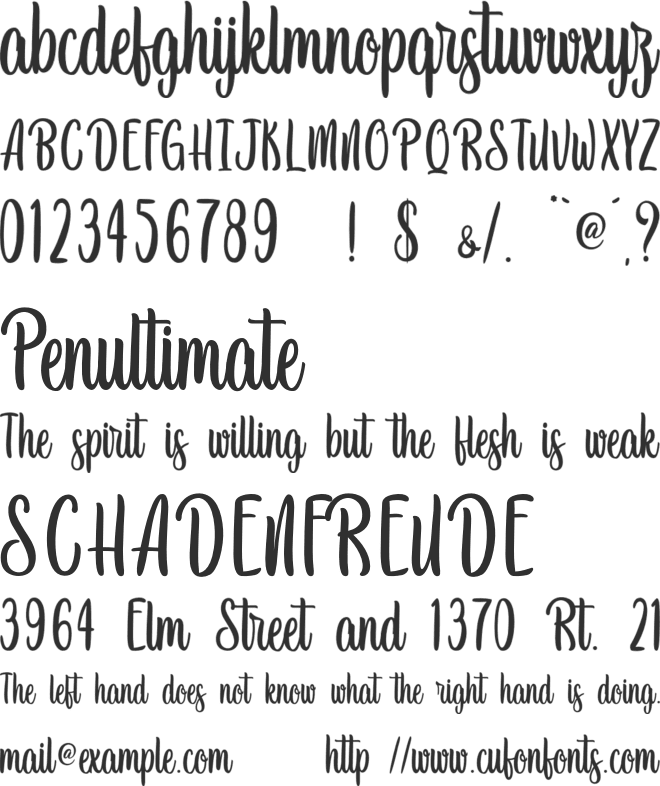 Newest Oldest - Personal Use font preview