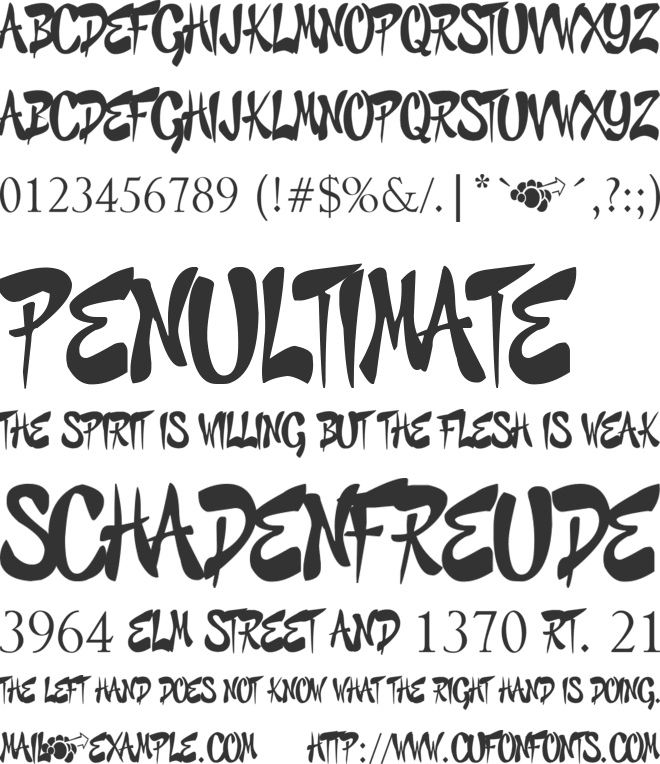 GRAFFITI CHEECKS STYLE - URBAN font preview