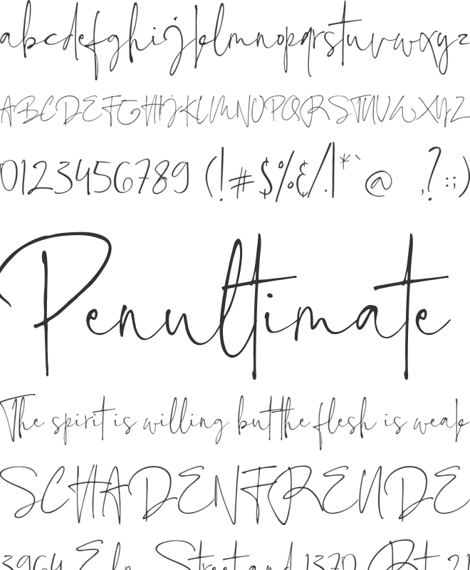 Estelly font preview