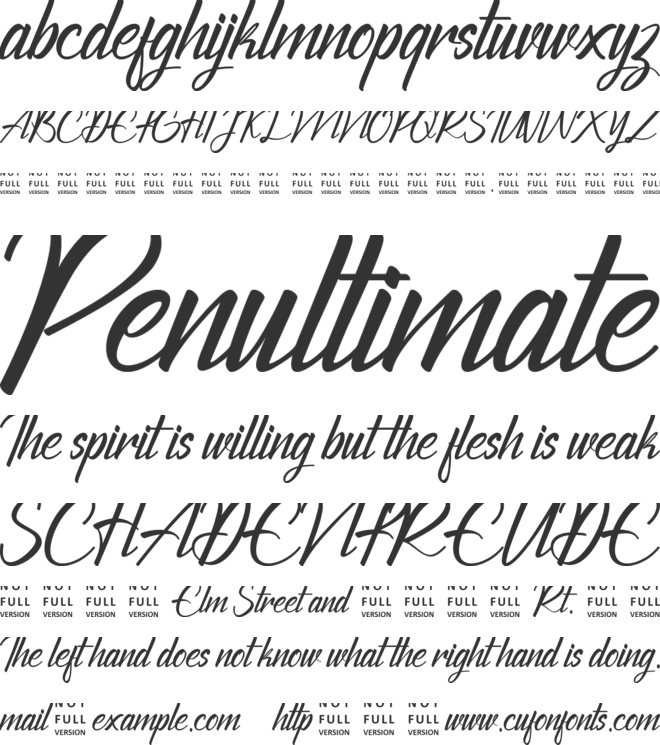 The Chamid Personal Use Only font preview