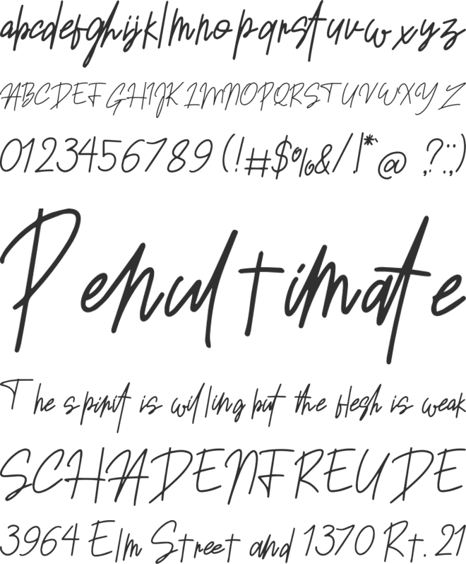 Sansitype Script font preview