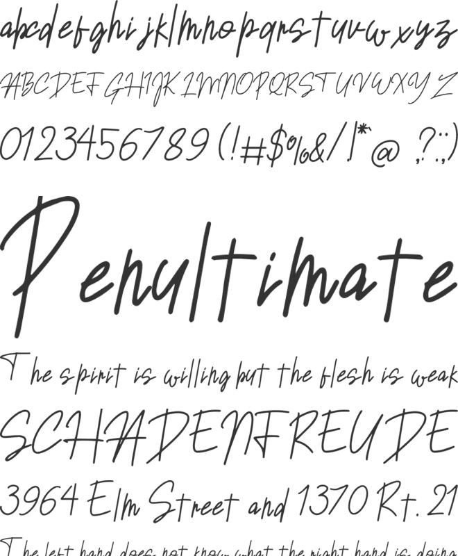 Sansitype Script font preview