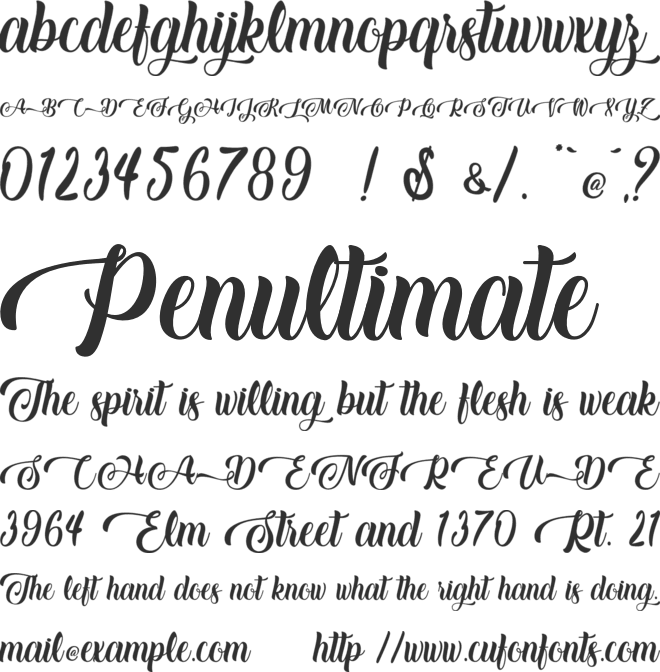 Baking Lion - Personal Use font preview