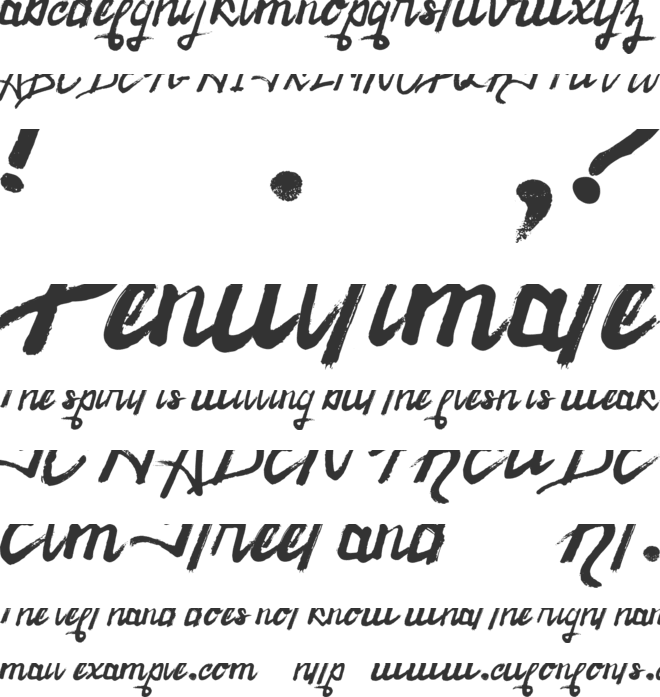 Raintake font preview