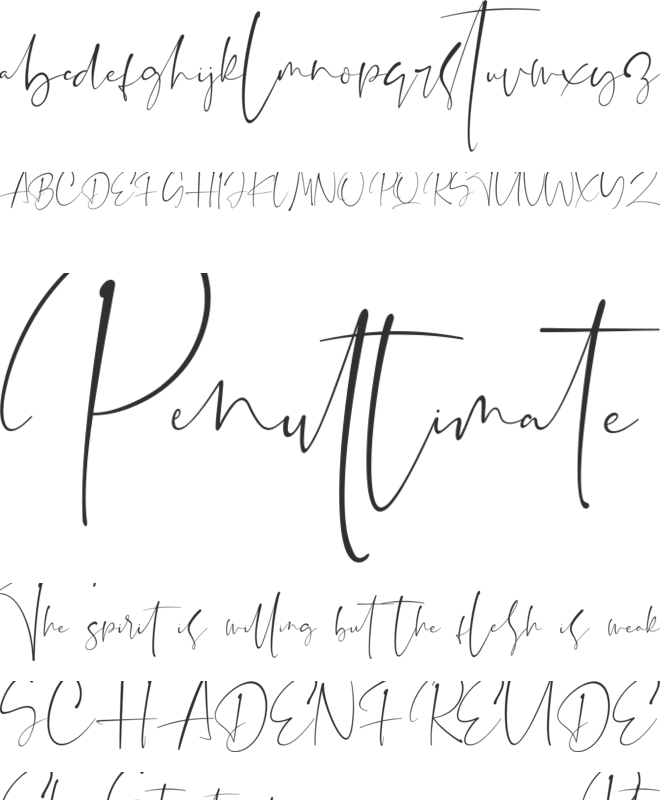The Brittany Script font preview