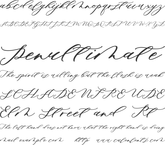 Minimalist Script font preview