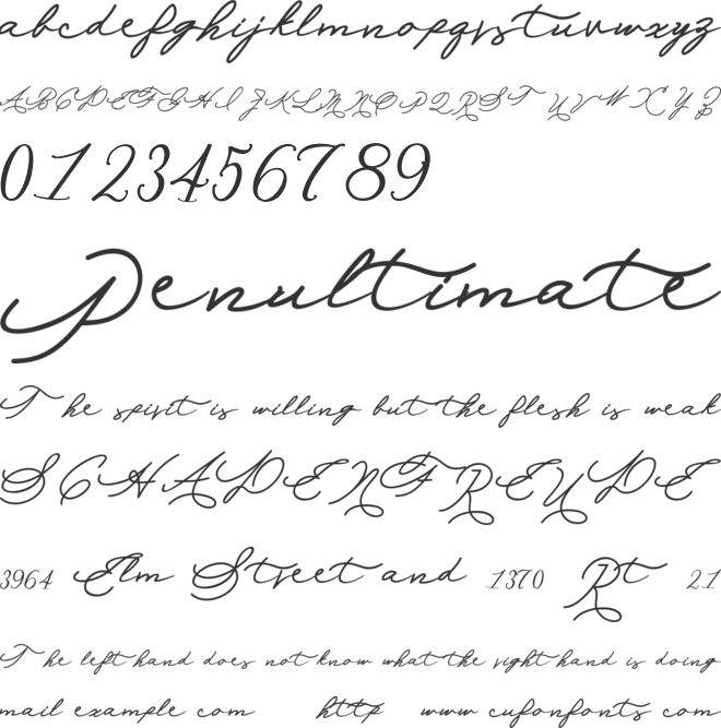 Allexandia font preview