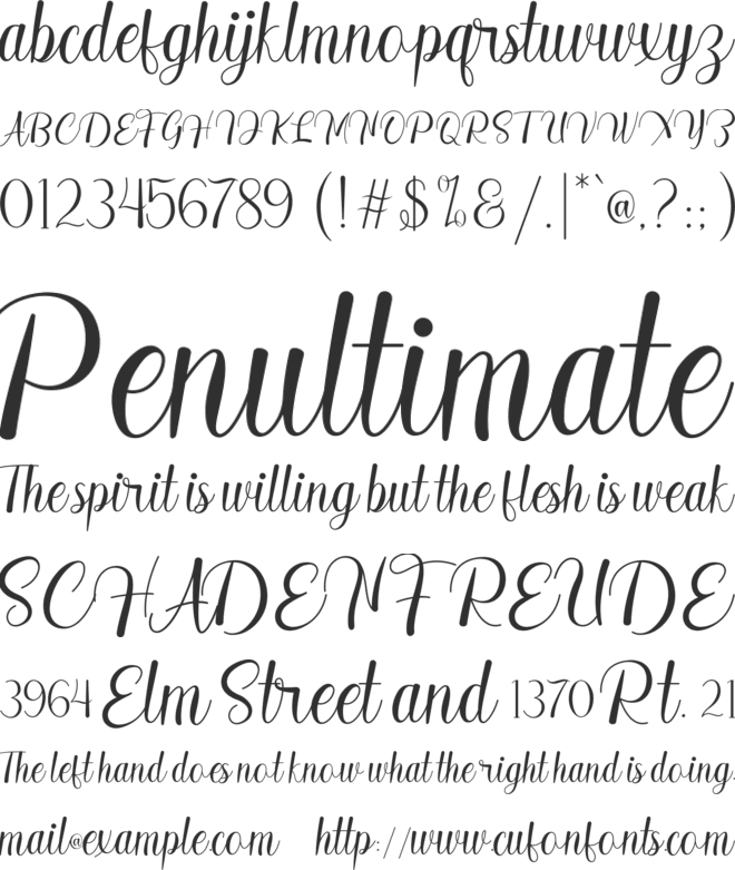 Madelyn font preview