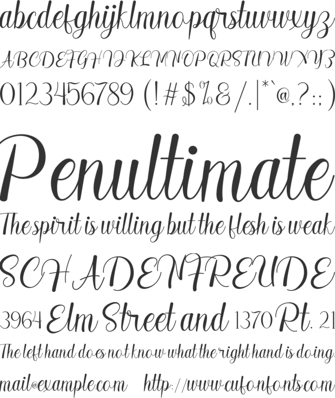 Madelyn font preview