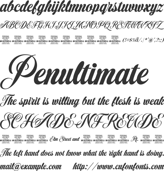 Starella Script PERSONAL USE font preview