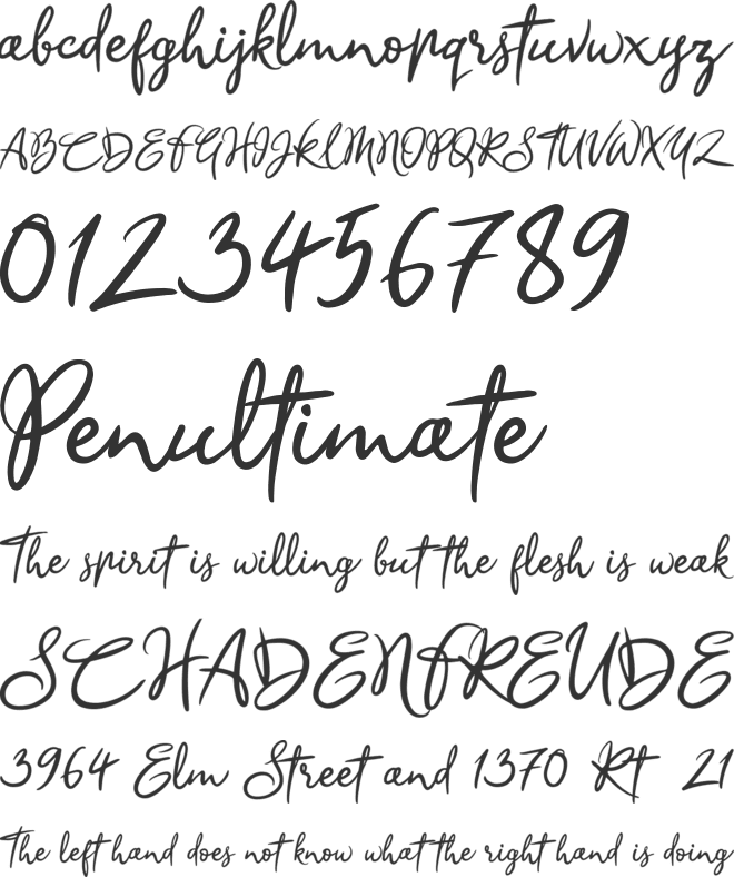 Sandra Belhock font preview