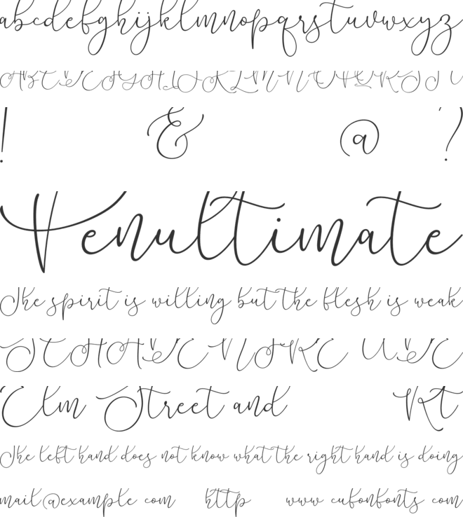 Lilypaly font preview