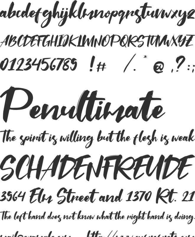 Saltino font preview