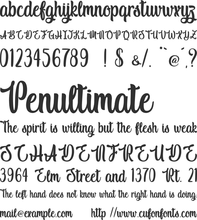 Macho Barista - Personal Use font preview