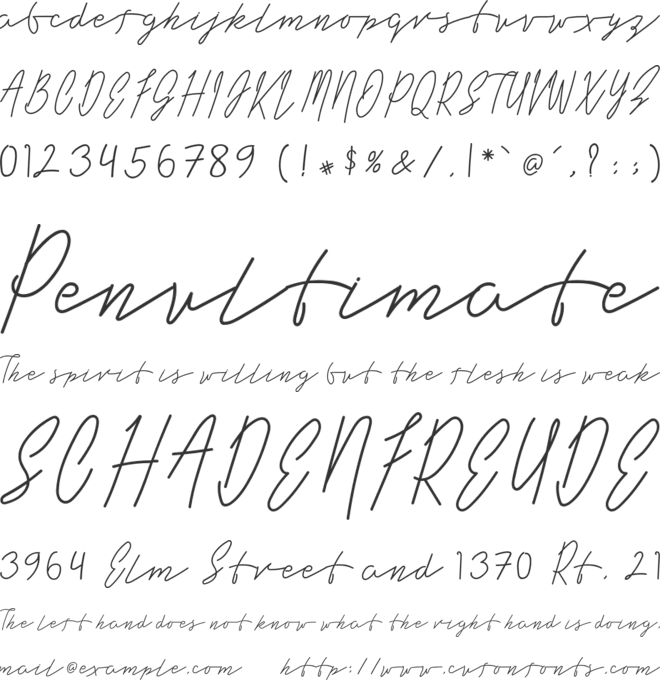 Long Liner font preview
